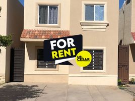 在Hermosillo, Sonora出租的2 卧室 屋, Hermosillo
