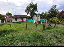  Terreno (Parcela) en venta en San Pedro, Valle Del Cauca, San Pedro