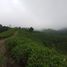  Land for sale in Lemahsugih, West Jawa, Lemahsugih, Majalengka