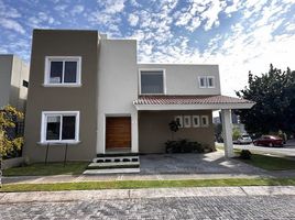 Maison 3 chambre à vendre à Zapopan, Jalisco, Zapopan, Jalisco