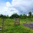  Land for sale in Bohol, Central Visayas, Dauis, Bohol