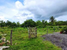  Land for sale in Dauis, Bohol, Dauis