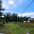  Land for sale in Bohol, Central Visayas, Dauis, Bohol