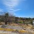  Land for sale in Zapopan, Jalisco, Zapopan, Jalisco