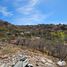  Land for sale in Zapopan, Jalisco, Zapopan, Jalisco