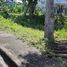  Grundstück zu verkaufen in Lapu-Lapu City, Central Visayas, Lapu-Lapu City, Cebu, Central Visayas, Philippinen