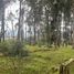  Land for sale in Conocoto, Pichincha, Conocoto