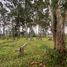  Land for sale in Conocoto, Pichincha, Conocoto