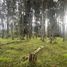  Land for sale in Conocoto, Pichincha, Conocoto