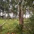  Land for sale in Conocoto, Pichincha, Conocoto
