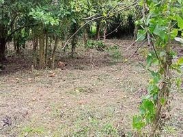  Land for sale in Cavite, Calabarzon, Alfonso, Cavite