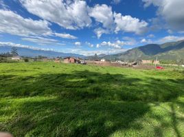  Terreno (Parcela) en venta en Imbabura, San Miguel De Ibarra, Ibarra, Imbabura