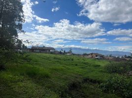  Land for sale in San Miguel De Ibarra, Ibarra, San Miguel De Ibarra