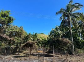  Land for sale in Compostela, Nayarit, Compostela