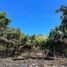  Grundstück zu verkaufen in Compostela, Nayarit, Compostela