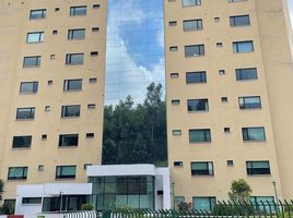 3 Habitación Apartamento en venta en Bicentenario Park, Quito, Quito, Quito