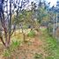  Land for sale in Del Centro, Oaxaca, Del Centro