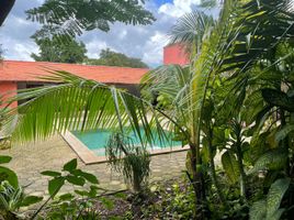 1 Schlafzimmer Appartement zu vermieten in Merida, Yucatan, Merida, Yucatan