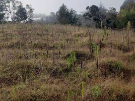  Terreno (Parcela) en venta en San Vicente, Antioquia, San Vicente