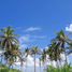  Land for sale in Linapacan, Mimaropa, Linapacan, Palawan, Mimaropa
