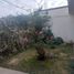 20 SqM Office for rent in Michoacan, Morelia, Michoacan
