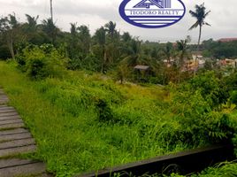  Terrain for sale in Albay, Bicol, Legazpi City, Albay