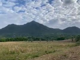  Land for sale in Nasugbu, Batangas, Nasugbu