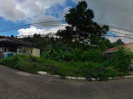  Land for sale in Yap-Sandiego Ancestral House, Cebu City, Cebu City