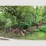  Land for sale in Zapopan, Jalisco, Zapopan, Jalisco