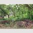  Land for sale in Zapopan, Jalisco, Zapopan, Jalisco