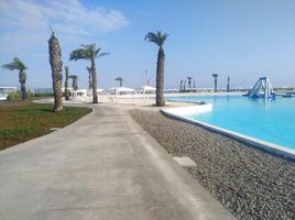  Terreno (Parcela) en venta en Asia, Lima, Asia