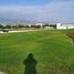  Terreno (Parcela) en venta en Asia, Lima, Asia