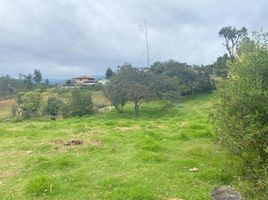  Land for sale in Azogues, Canar, Javier Loyola Chuquipata, Azogues