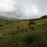  Terreno (Parcela) en venta en Maras, Urubamba, Maras