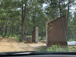 Grundstück zu verkaufen in Tapalpa, Jalisco, Tapalpa