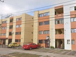 2 Schlafzimmer Wohnung zu verkaufen in Zapopan, Jalisco, Zapopan