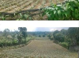  Land for sale in Cavite, Calabarzon, Tagaytay City, Cavite