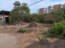  Grundstück zu verkaufen in Chorrillos, Lima, Chorrillos, Lima, Lima, Peru