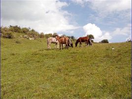  Terreno (Parcela) en venta en Chumbivilcas, Cusco, Santo Tomas, Chumbivilcas