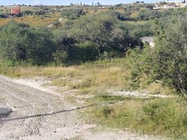  Grundstück zu verkaufen in Allende, Guanajuato, Allende