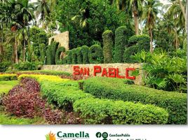  Land for sale in San Pablo City, Laguna, San Pablo City