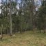  Land for sale in Jilotzingo, Mexico, Jilotzingo
