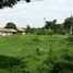  Land for sale in Subang, West Jawa, Pamanukan, Subang