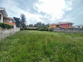  Land for sale in Conocoto, Pichincha, Conocoto