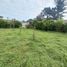  Land for sale in Conocoto, Pichincha, Conocoto
