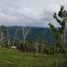  Land for sale in Central Visayas, Cebu City, Cebu, Central Visayas