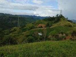  Land for sale in Central Visayas, Cebu City, Cebu, Central Visayas