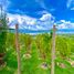  Land for sale in Lago De Chapala, Jalisco, Lago De Chapala