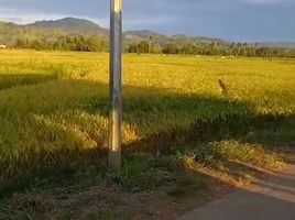  Land for sale in Zamboanga Peninsula, Guipos, Zamboanga del Sur, Zamboanga Peninsula