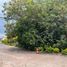  Land for sale in Muntinlupa City, Metro Manila, Muntinlupa City
